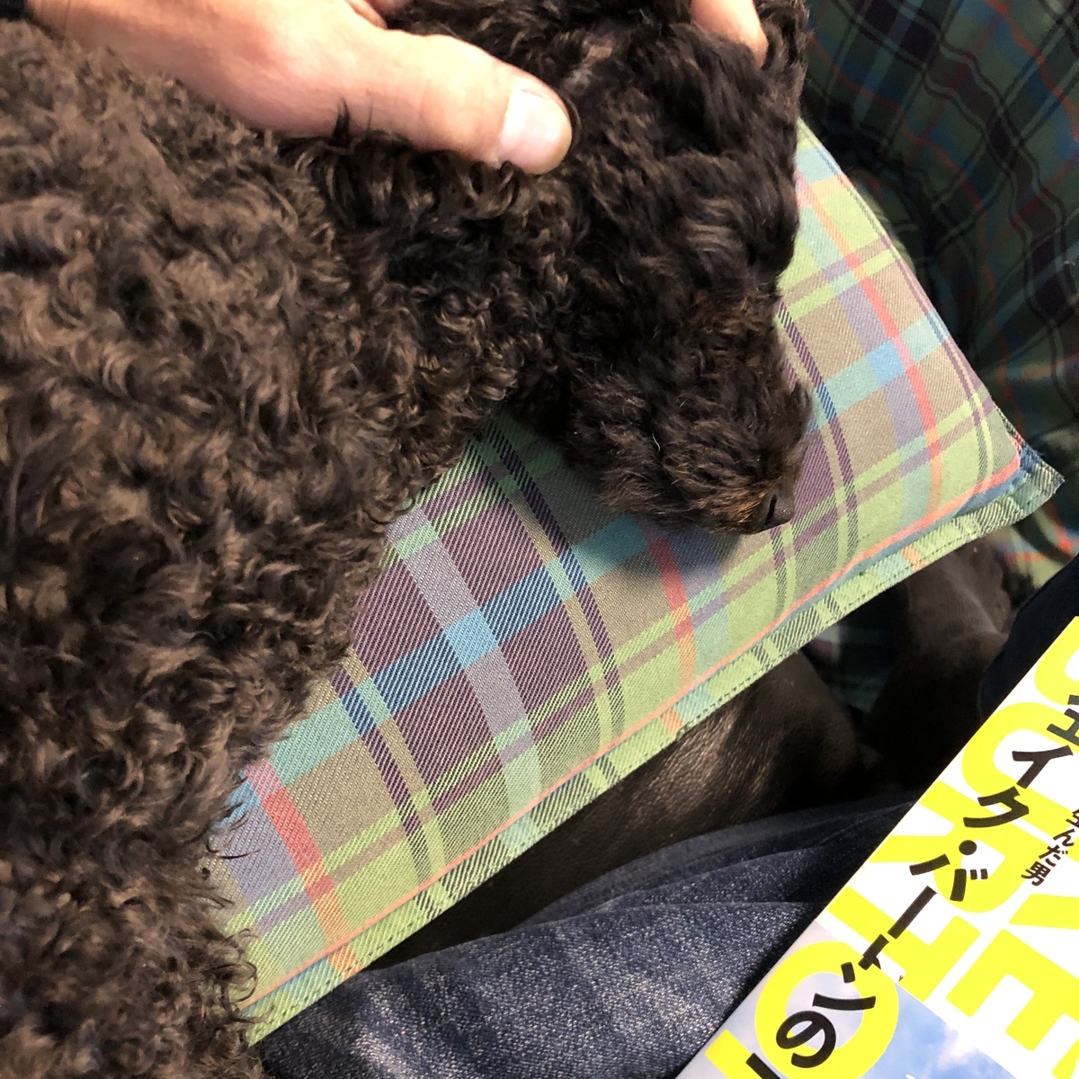 f:id:hiroshi-enzo:20220210061616j:plain