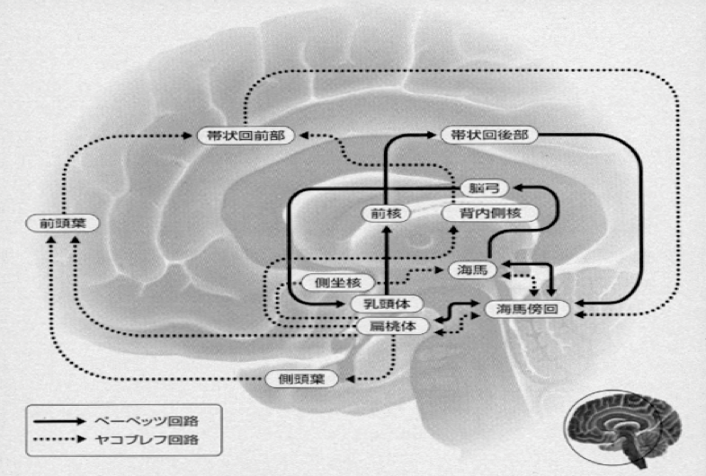 f:id:hiroshi-kizaki:20171110170924p:plain