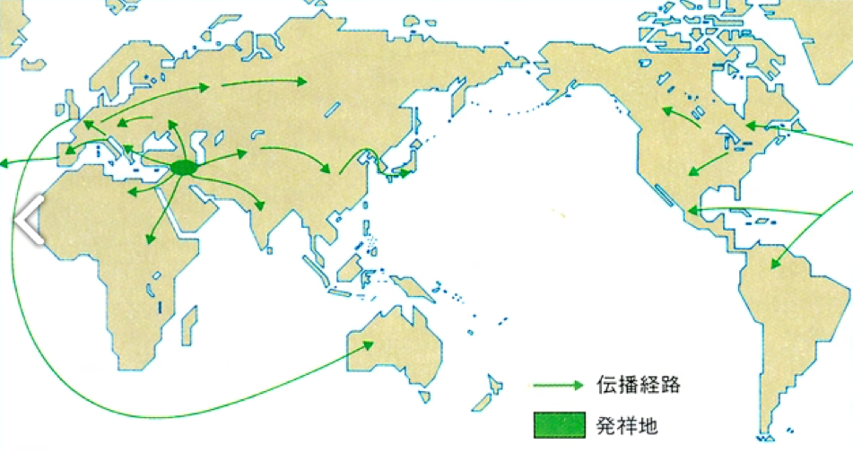 f:id:hiroshi-kizaki:20171128183155p:plain