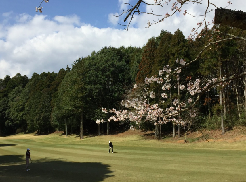 f:id:hiroshi-kizaki:20190307125632p:plain f:id:hiroshi-kizaki:20190307125632p:plain