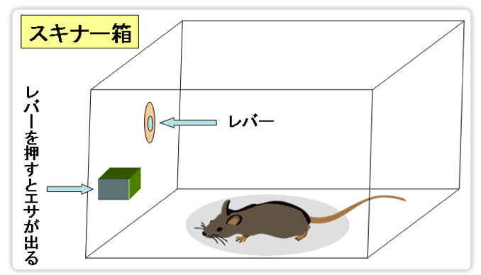 f:id:hiroshi-kizaki:20190704222710p:plain f:id:hiroshi-kizaki:20190704222710p:plain