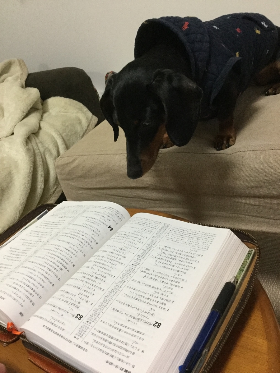 f:id:hiroshi-suzuki-4045:20200411173912j:plain