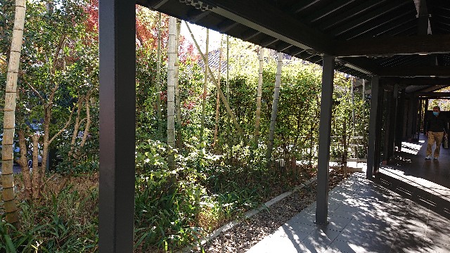 f:id:hiroshi-tentyo:20201217144943j:image f:id:hiroshi-tentyo:20201217144943j:image