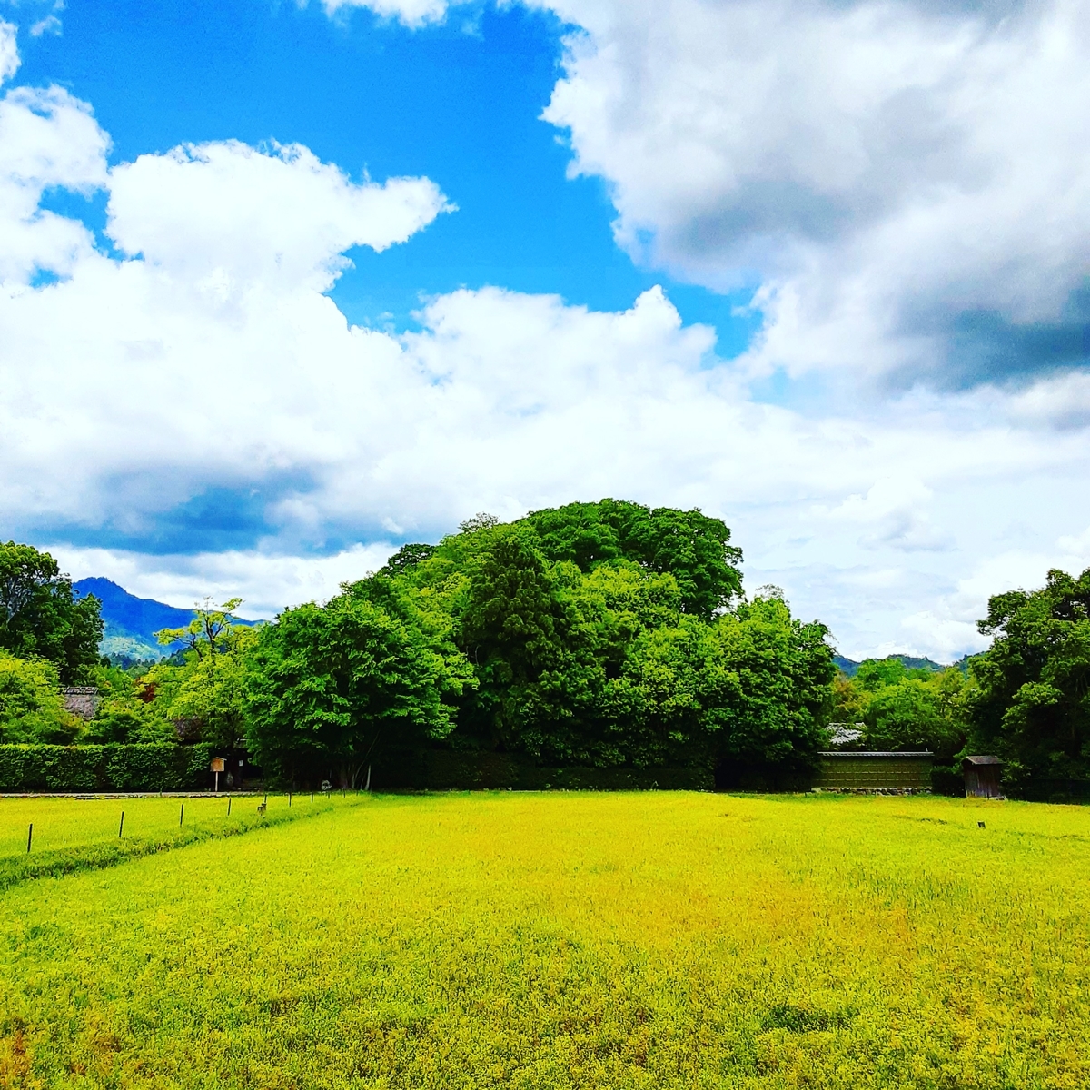 f:id:hiroshi0369:20210517114134j:plain