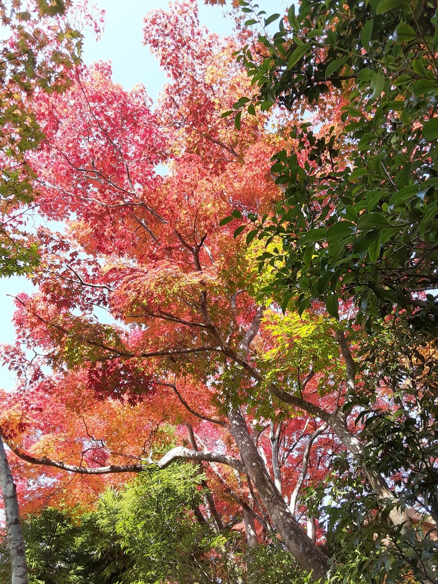 f:id:hiroshi0369:20210912130043j:plain