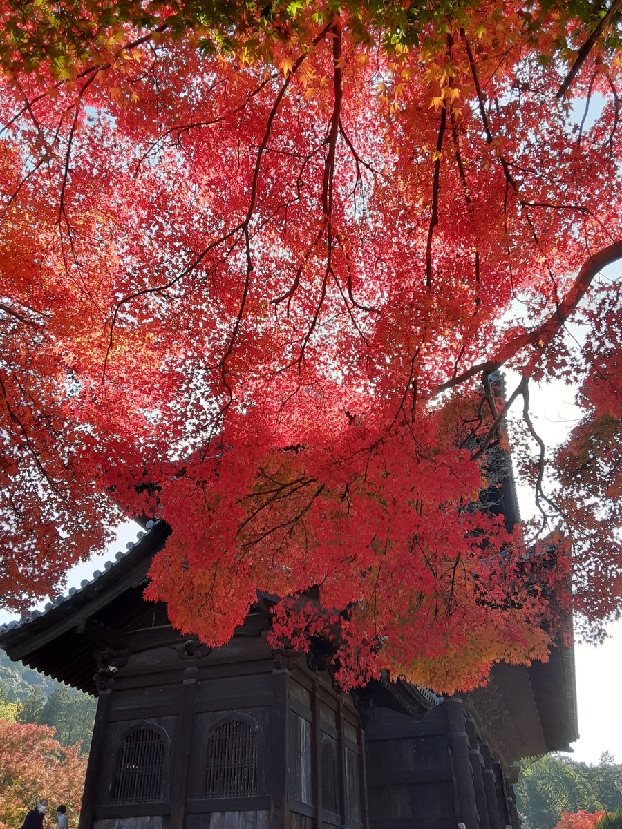 f:id:hiroshi0369:20210913134912j:plain