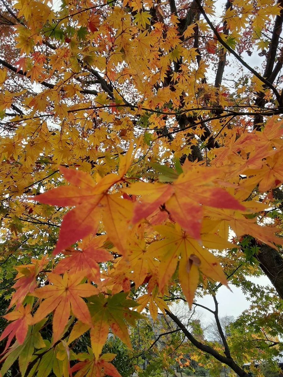 f:id:hiroshi0369:20210914072118j:plain