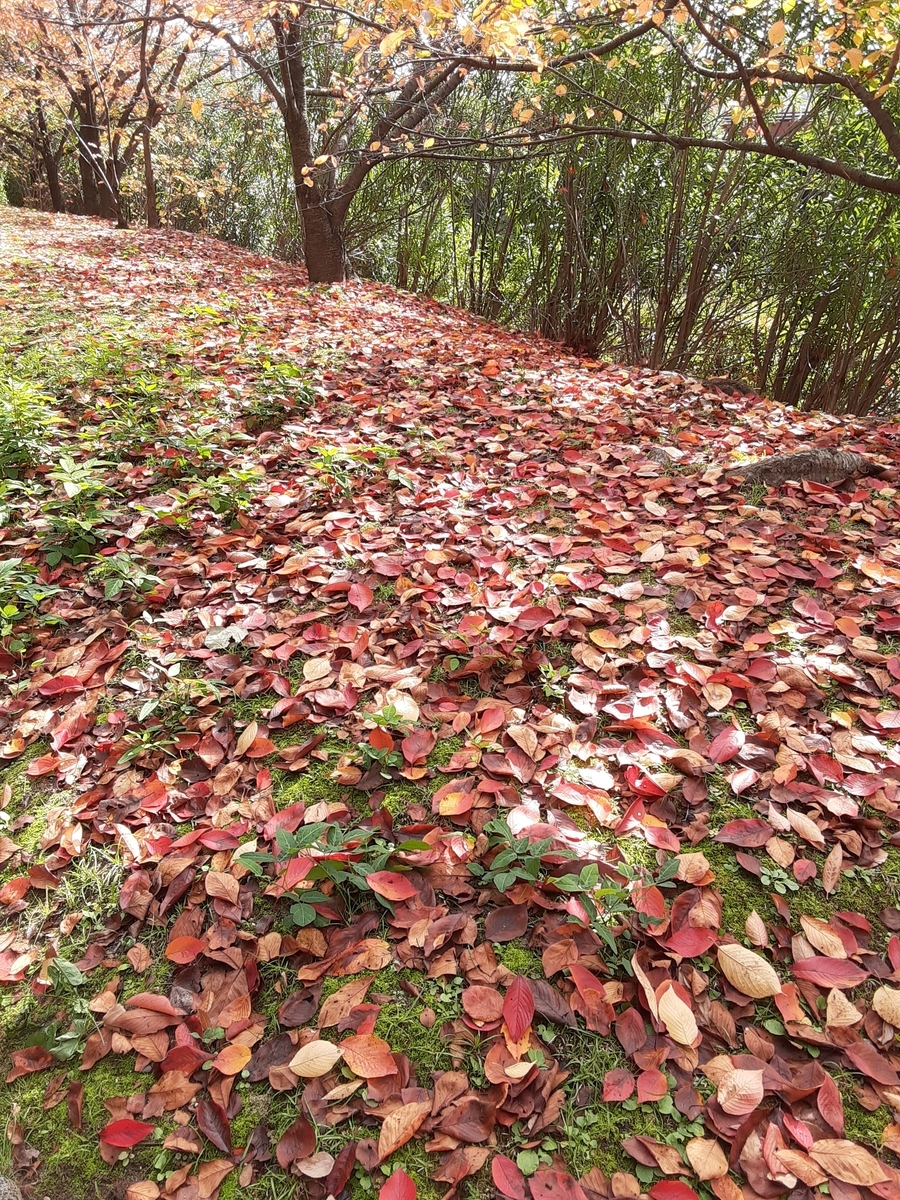 f:id:hiroshi0369:20210914072258j:plain