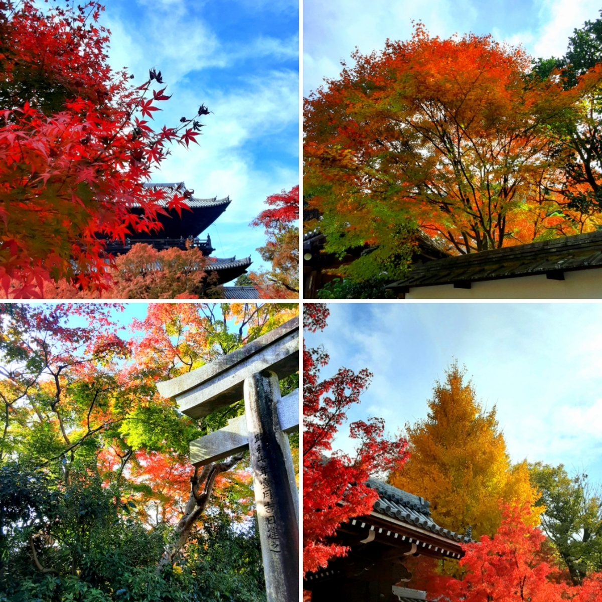 f:id:hiroshi0369:20211121115853j:plain