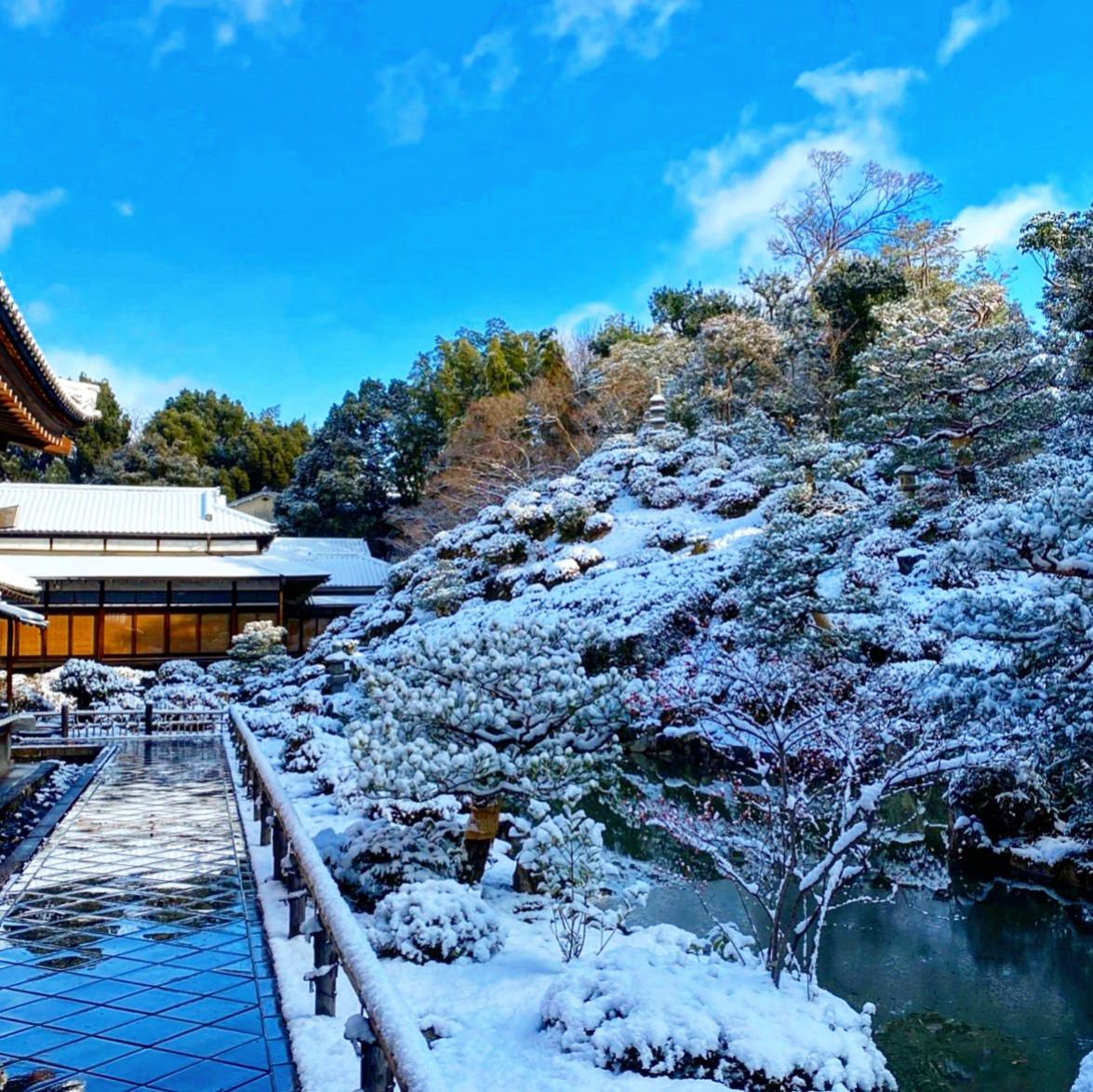 京都ぶらり 雪の智積院 冬の旅22 京都ぶらり