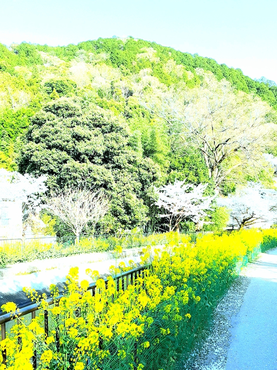f:id:hiroshi0369:20220409071249j:plain