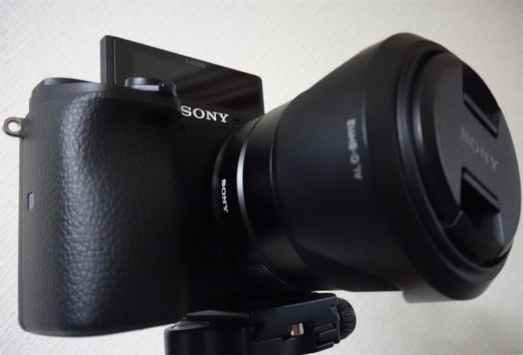 f:id:hiroshilab:20190427183344j:image f:id:hiroshilab:20190427183344j:image