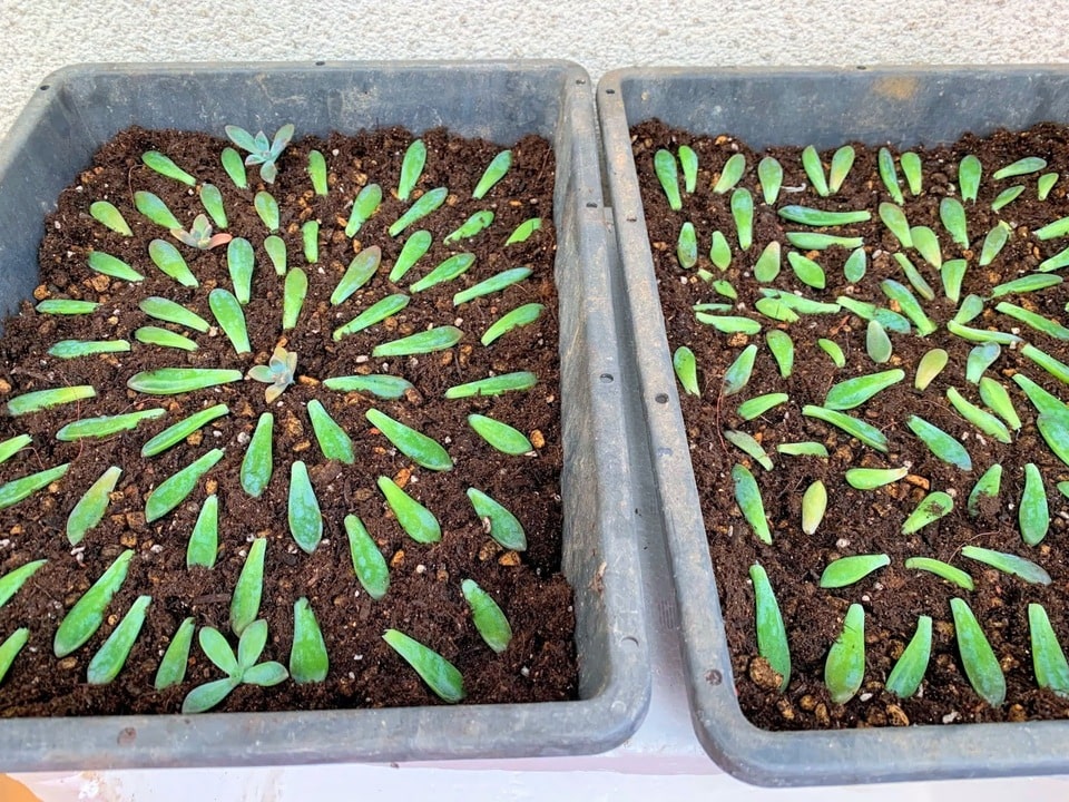 f:id:hiroshimaphotography:20210723024126j:plain