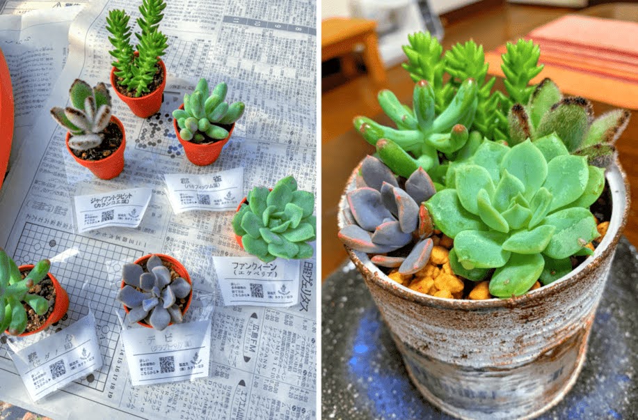 f:id:hiroshimaphotography:20210725094339j:plain