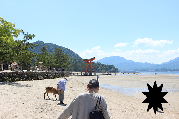 宮島の砂浜
