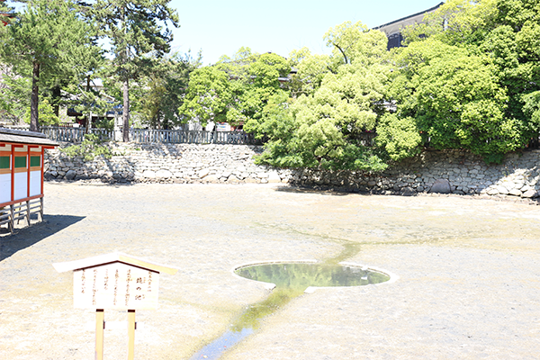 厳島神社 鏡の池