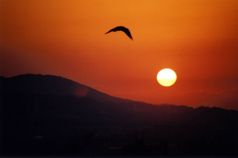 f:id:hiroshisj:20040108210510j:image