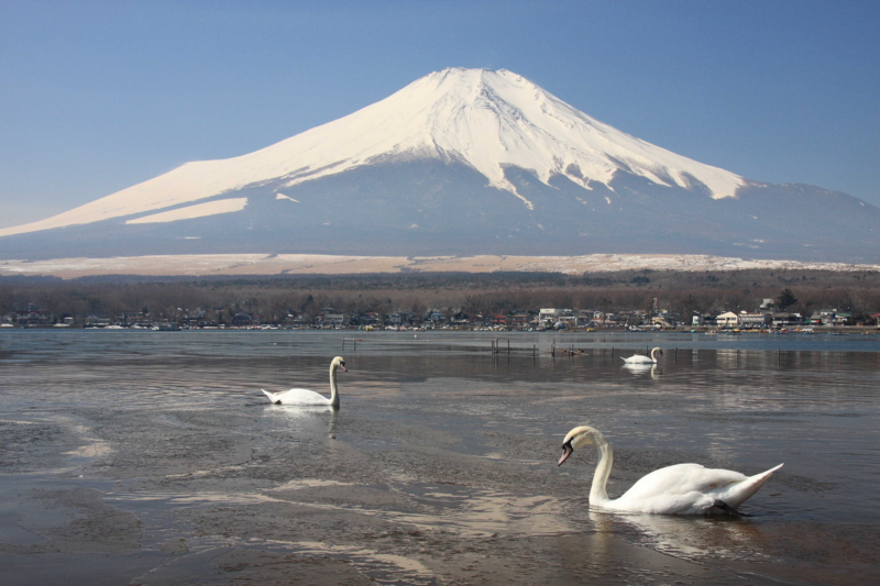 f:id:hiroshisj:20080309102541j:image