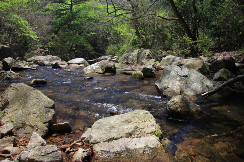 f:id:hiroshisj:20080425120028j:image