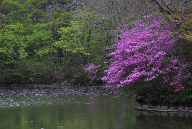 f:id:hiroshisj:20080425145318j:image