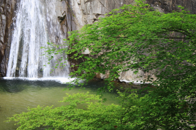 f:id:hiroshisj:20080501115436j:image