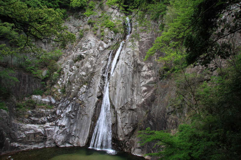 f:id:hiroshisj:20080501115643j:image