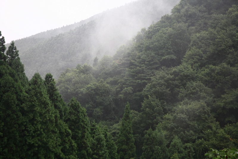 f:id:hiroshisj:20080827115725j:image