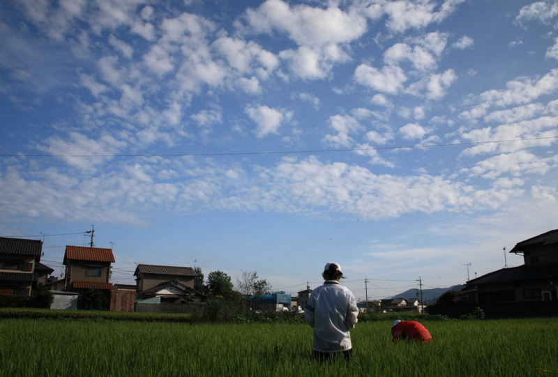 f:id:hiroshisj:20080829155248j:image