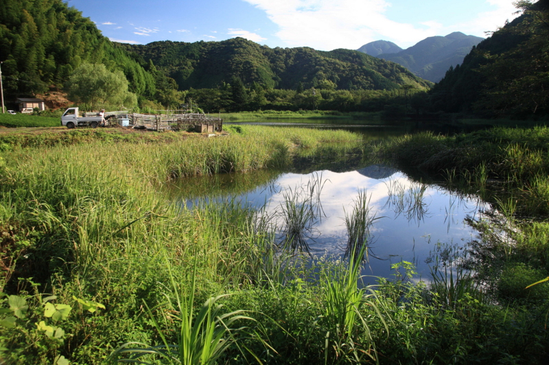 f:id:hiroshisj:20080831073835j:image