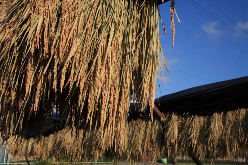 f:id:hiroshisj:20081015154440j:image