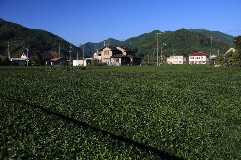 f:id:hiroshisj:20081016074837j:image