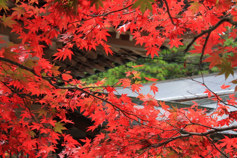 f:id:hiroshisj:20081029112211j:image