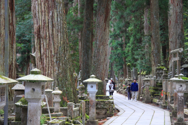 f:id:hiroshisj:20081029114036j:image