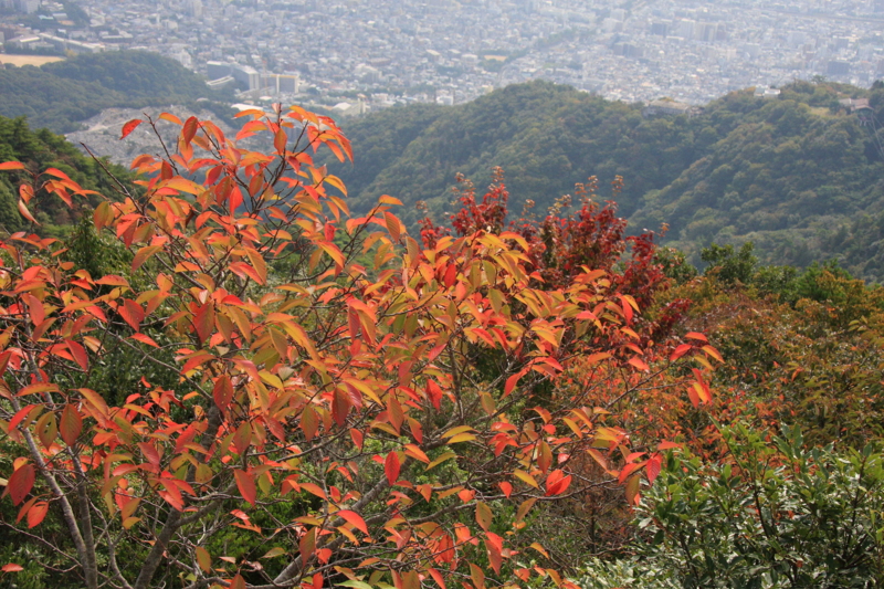 f:id:hiroshisj:20081030103304j:image