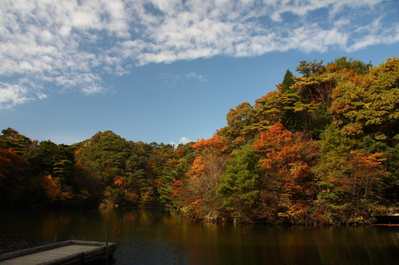 f:id:hiroshisj:20081114132326j:image
