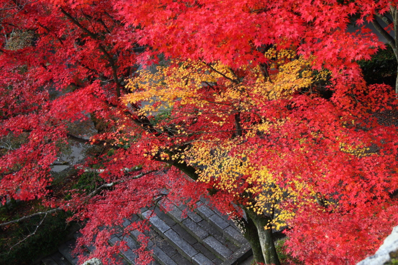 f:id:hiroshisj:20081127090747j:image