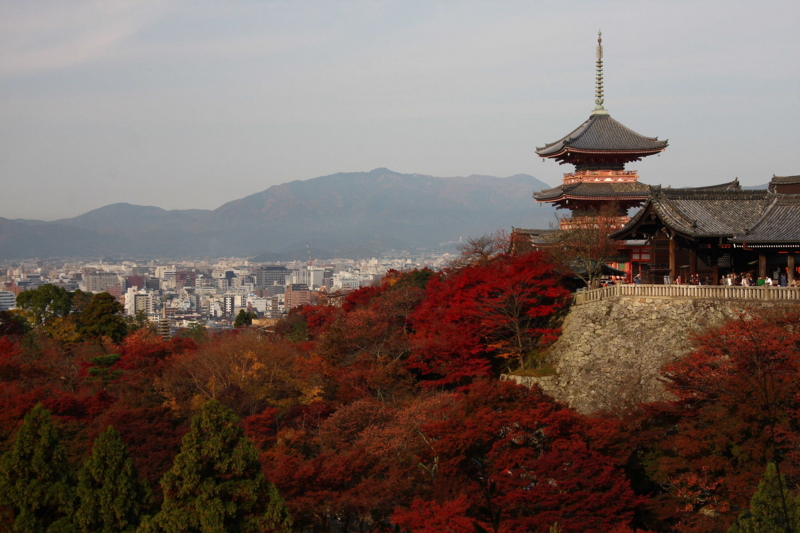 f:id:hiroshisj:20081127092032j:image