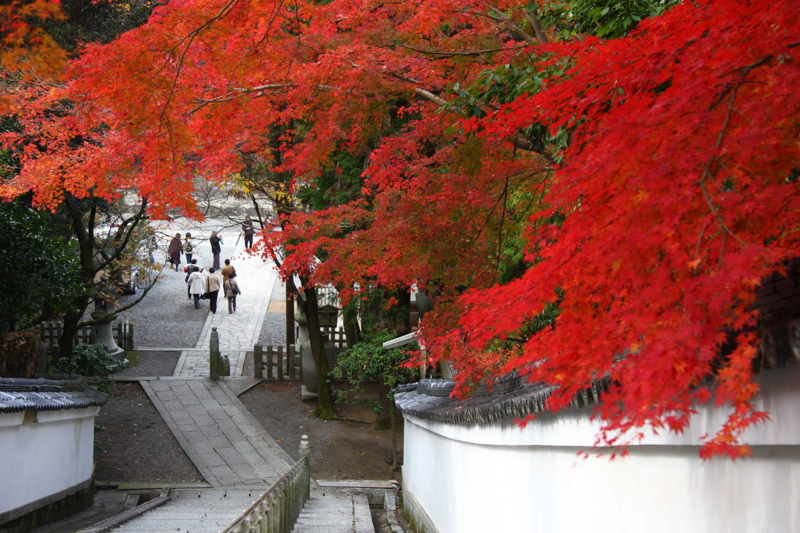 f:id:hiroshisj:20081127114136j:image