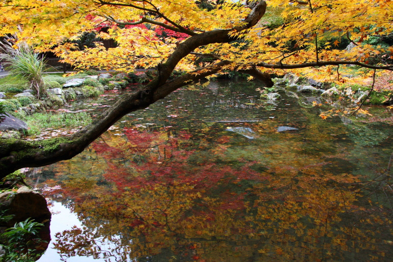 f:id:hiroshisj:20081127135915j:image