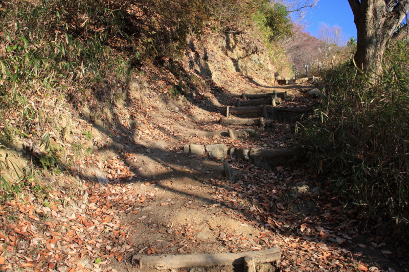 f:id:hiroshisj:20090108083747j:image