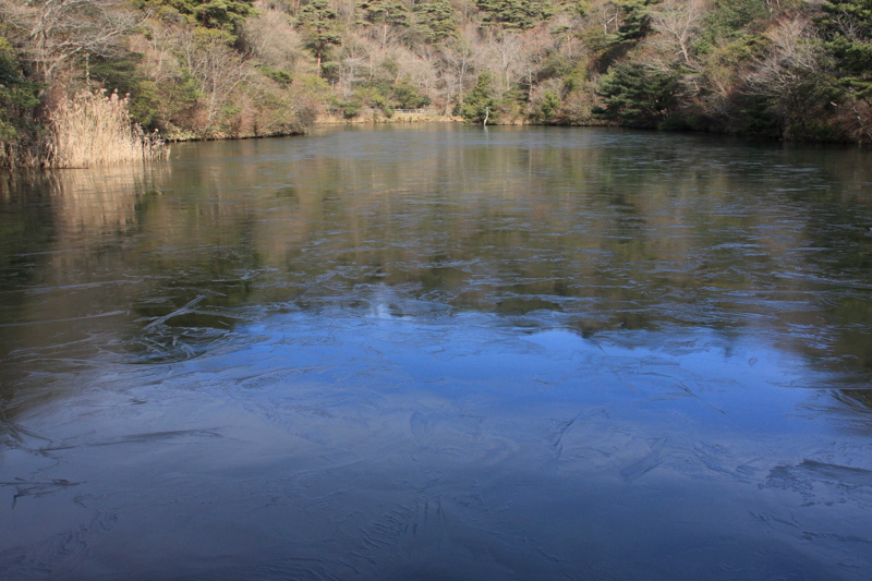 f:id:hiroshisj:20090108101759j:image