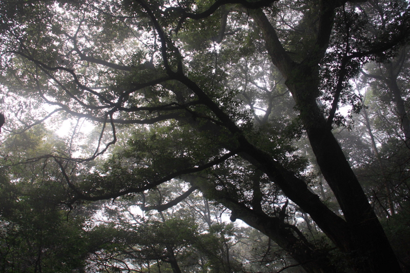 f:id:hiroshisj:20090122090623j:image