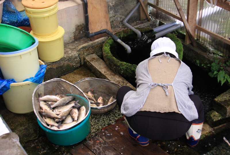 f:id:hiroshisj:20090324114221j:image f:id:hiroshisj:20090324114221j:image