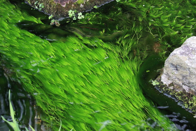 f:id:hiroshisj:20090324114801j:image f:id:hiroshisj:20090324114801j:image