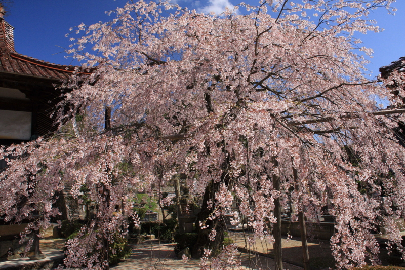 f:id:hiroshisj:20090330095439j:image