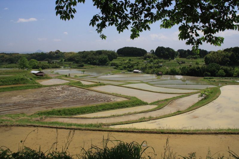 f:id:hiroshisj:20090514115215j:image