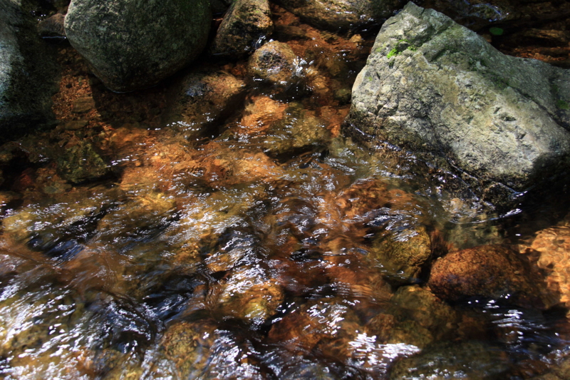 f:id:hiroshisj:20090625133041j:image