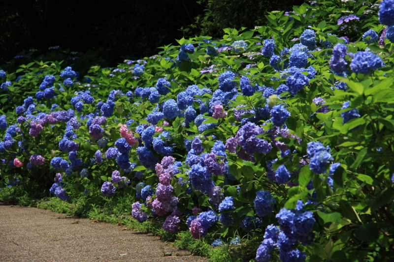f:id:hiroshisj:20090702112840j:image