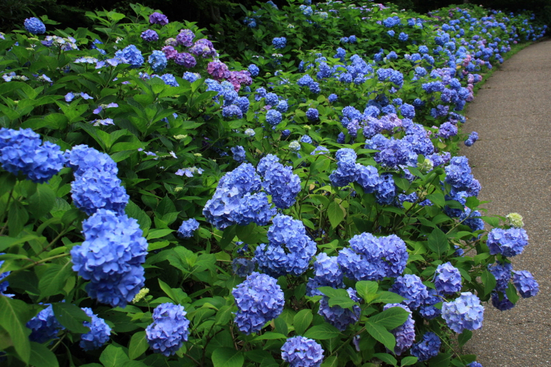 f:id:hiroshisj:20090702140601j:image