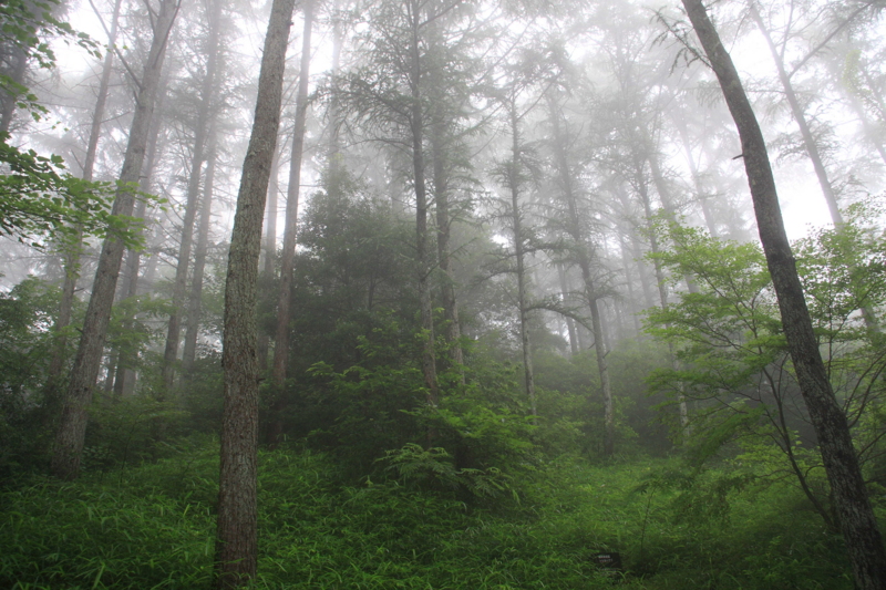 f:id:hiroshisj:20090709093311j:image